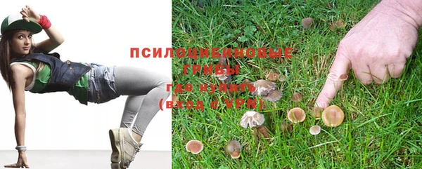 дживик Магас