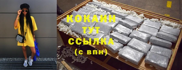 дживик Магас