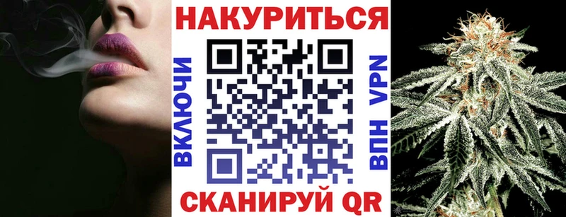 Канабис планчик  Ильский 